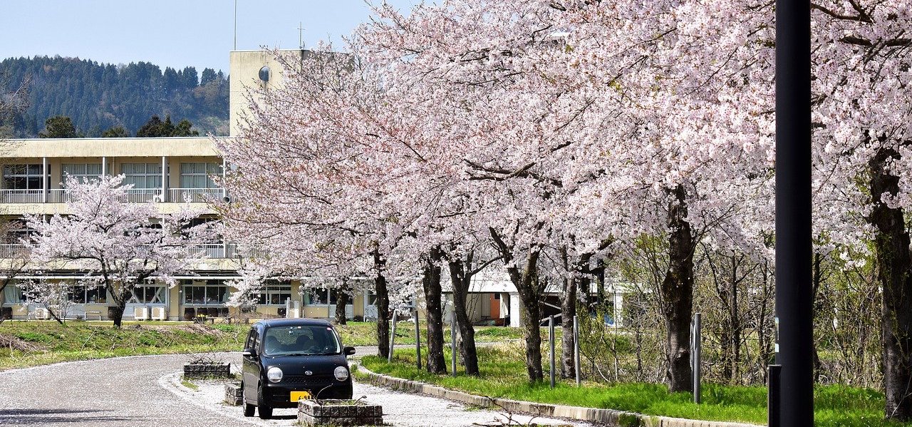 車社会で苦戦しやすい立地とは？